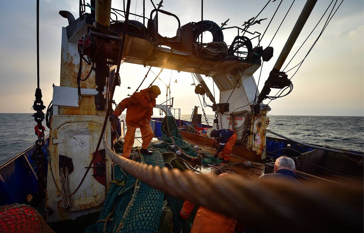 Работа в море на рыбопромысловых судах: как стать моряком, трудоустройство, условия работы.